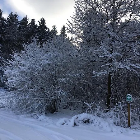 Vakantiehuis Stausee Bitburg Biersdorf