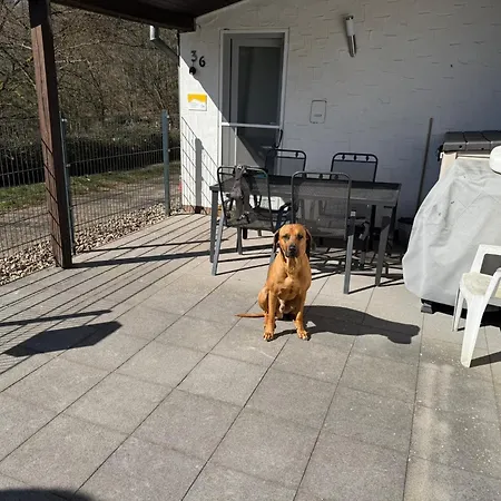 Vakantiehuis Stausee Bitburg