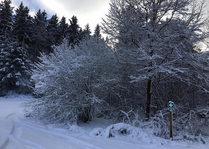 Vakantiehuis Stausee Bitburg Biersdorf