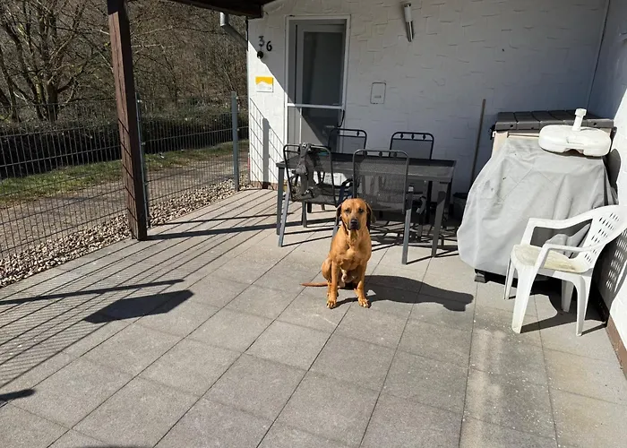 Vakantiehuis Stausee Bitburg